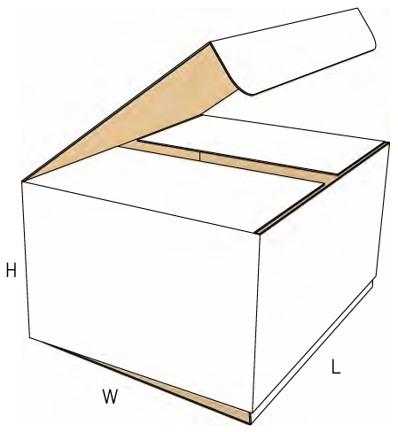 (5)Medicina Doble Tapa